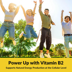 Nutribota B2 veggie capsules packaging designed for vegan use