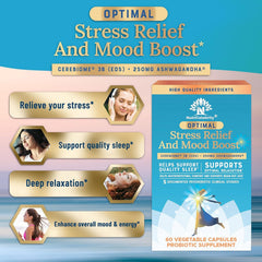 Nutricelebrity Ashwagandha KSM-66 formula for balanced stress responses.