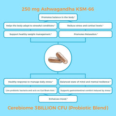 Nutricelebrity Cerebiome probiotic blend promoting gut comfort.