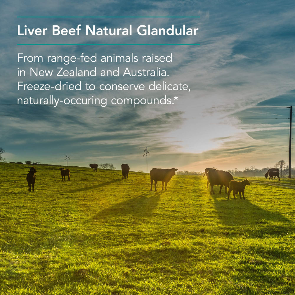 Nutricology Liver Beef VegiCaps container label with servings per container.