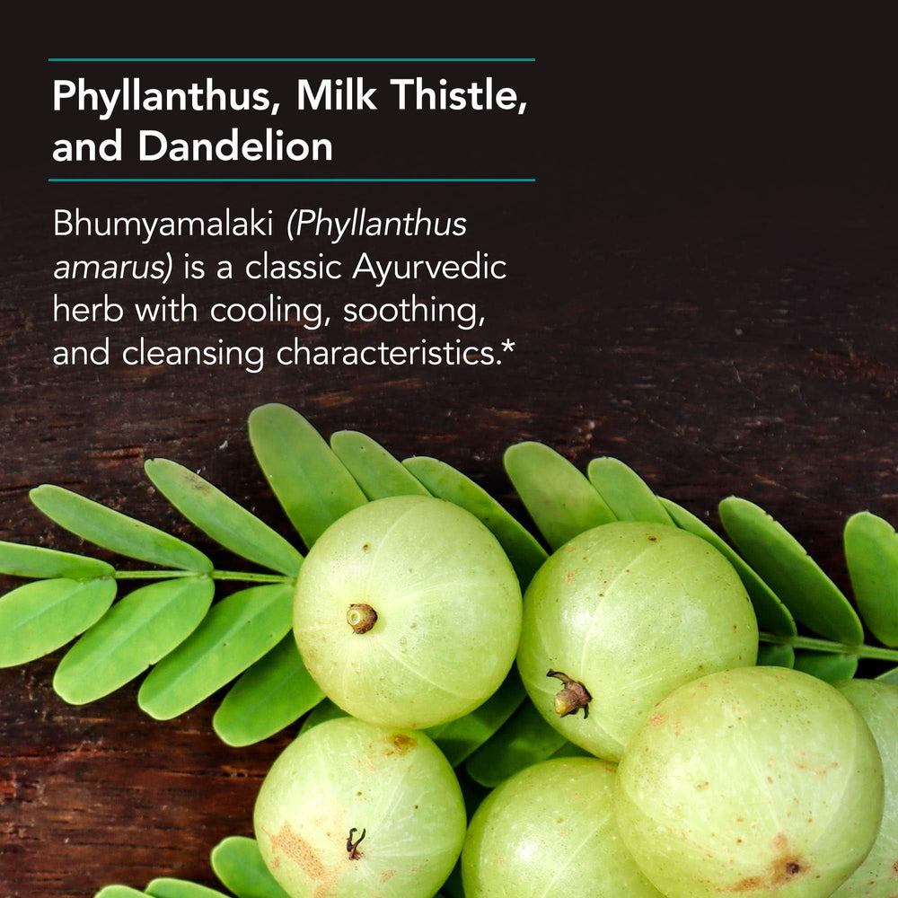 Nutricology Phyllantus Complex tablets ready for daily use.