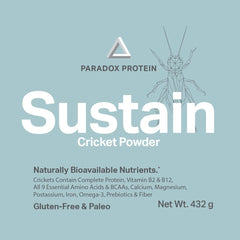 NutriCricket Paradox Protein powder in bowl – smooth, nutty texture enhances dishes.