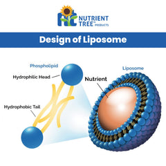 Nutrient Tree Liposomal Vitamin C packaging on a clean countertop conveys premium quality.
