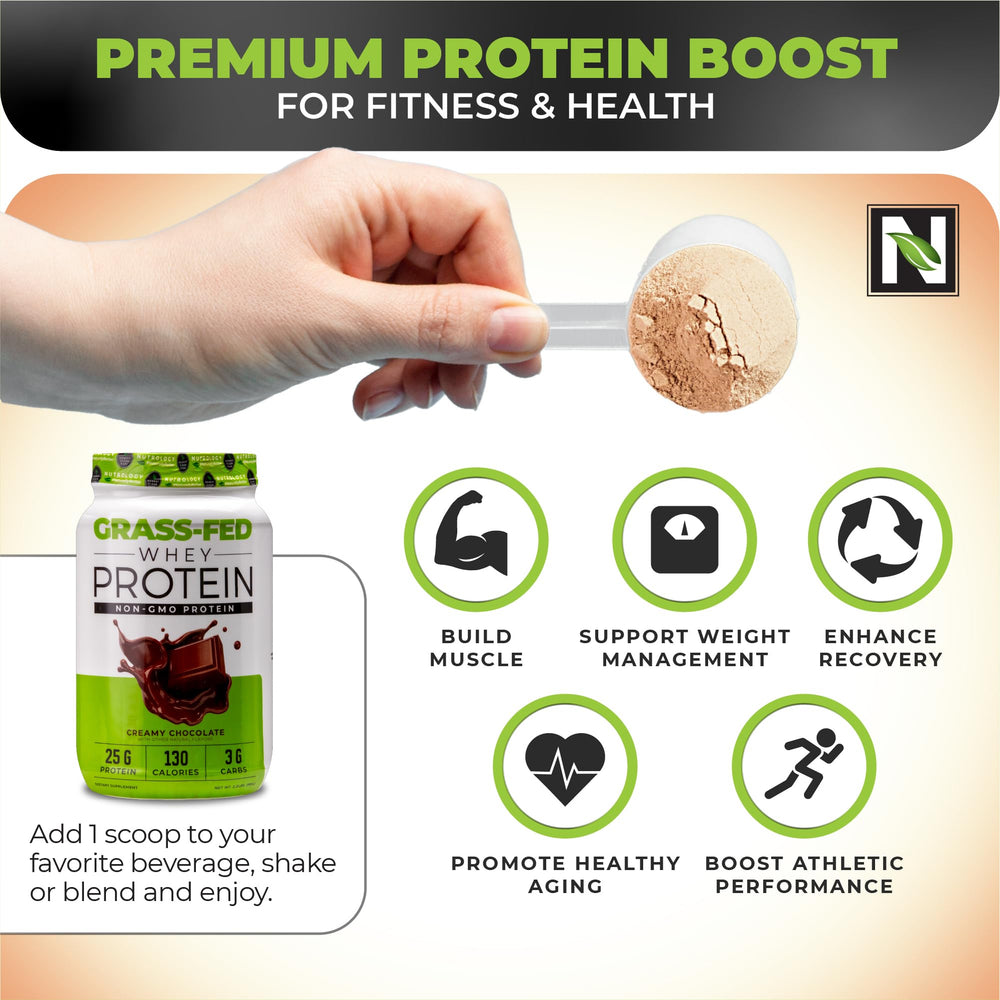 Nutrology creamy chocolate whey canister indicating 28 servings per container.