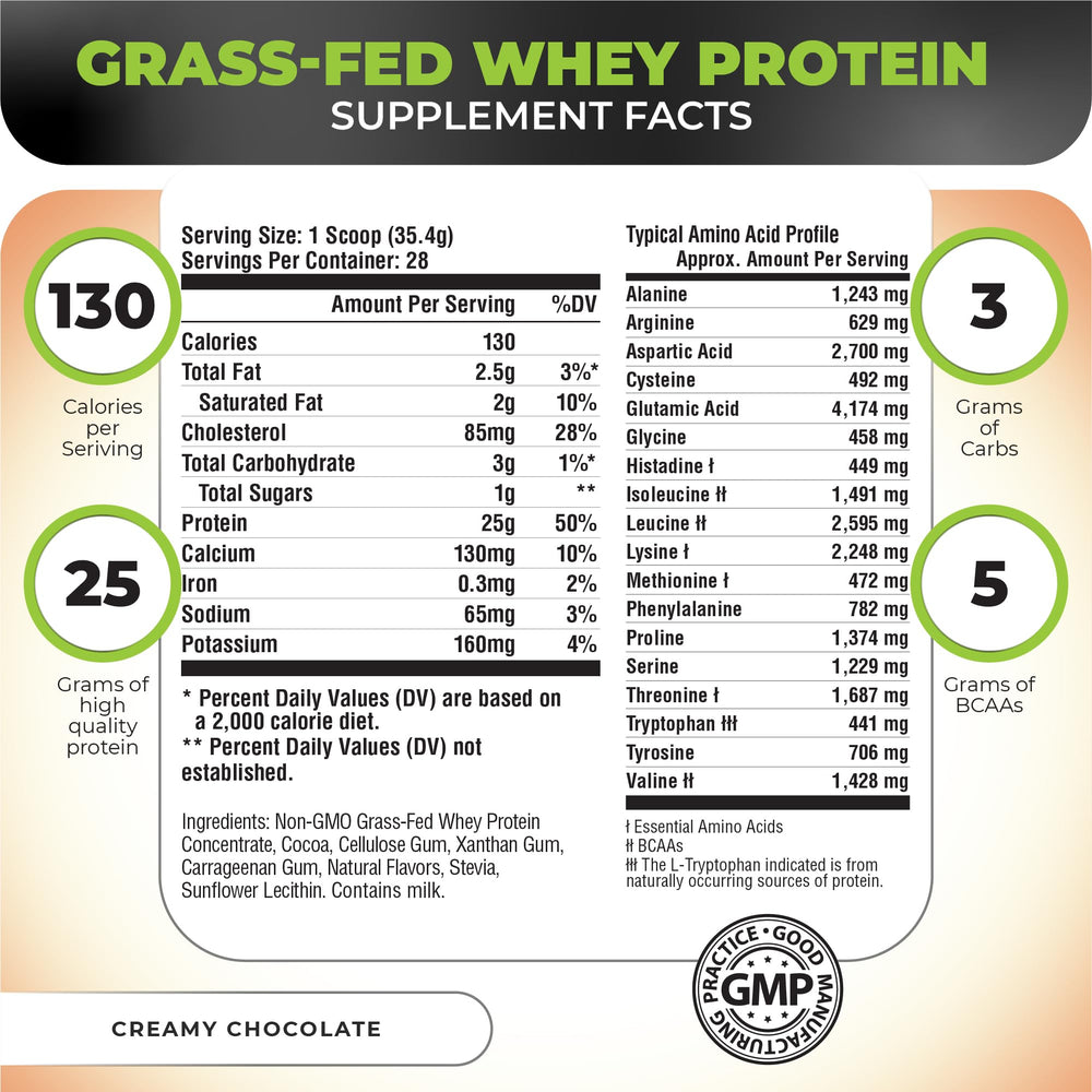 Nutrology creamy chocolate whey scoop showing convenient serving for smoothies.