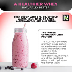 Nutrology TRIPACT Superberry shake in glass with inviting aroma