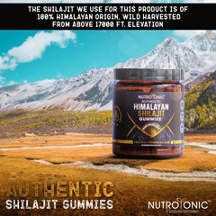 NutroTonic Shilajit gummies fit into a morning routine.