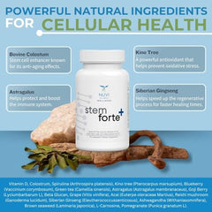 NuVi Global Stemforte Plus closeup of capsules evokes trust in natural wellness.