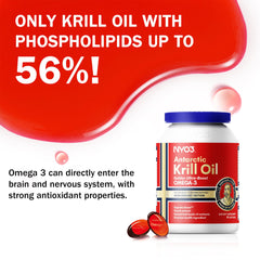 NYO3 Krill Oil graphic highlights choline addition