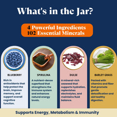Ocean's Balance Sea Moss Wellness Blend scoop boosts immunity and digestion.