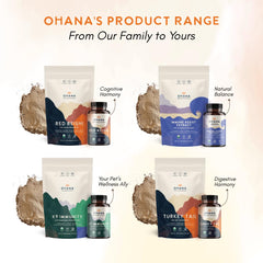 Ohana Turkey Tail smoothie mix ready powder for breakfast