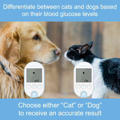 OHC GluNEO Pet glucose monitoring setup supports daily pet care