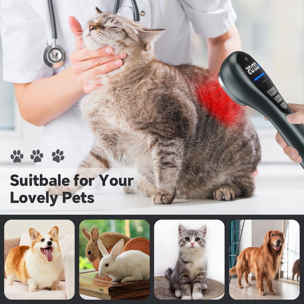 Okyna pet-friendly red light device suitable for dogs and cats