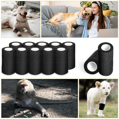 Oleitodh 54-pack packaging designed for portable use and storage
