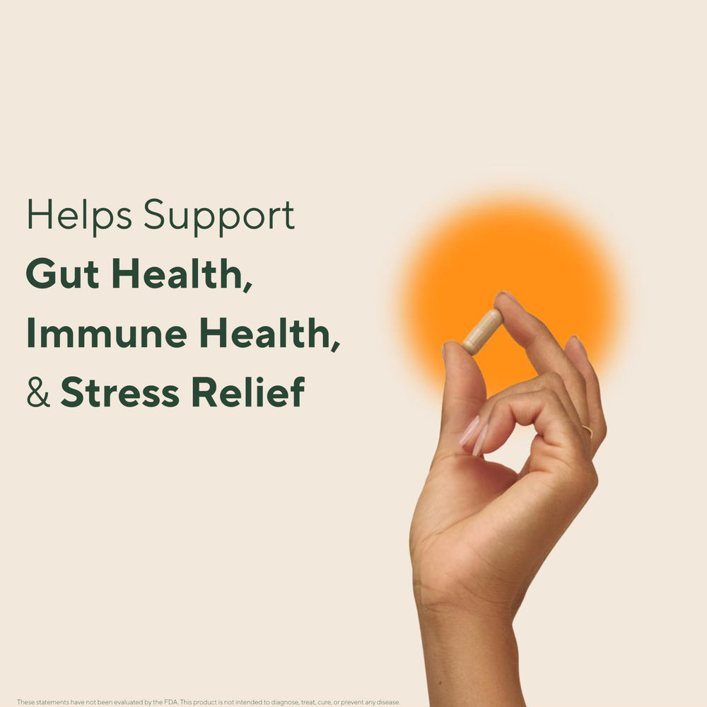 Om Master Blend mushroom blend ingredients displayed for immune and gut support.