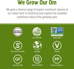 OM Mushroom Reishi capsules daily-use scene for routine wellness