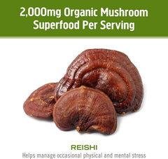 OM Mushroom Reishi capsules packaging with clear label and certifications