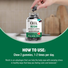 OM MUSHROOM REISHI GUMMIES Watermelon Kitchen Scene implies everyday wellness routine.