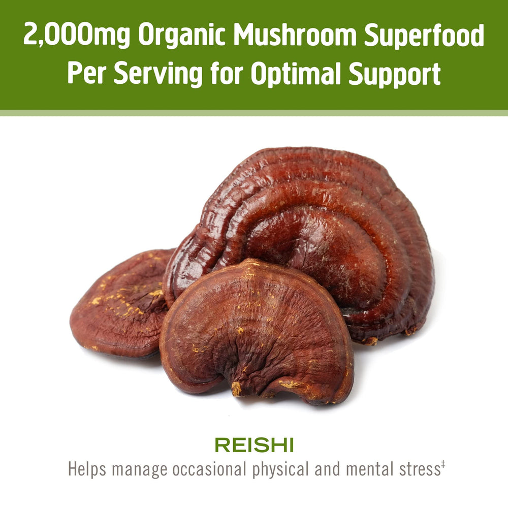 OM MUSHROOM REISHI mycelial biomass close-up showing full-spectrum content.