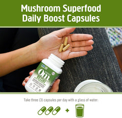 OM Mushroom Reishi organic powder sourced for USA facilities