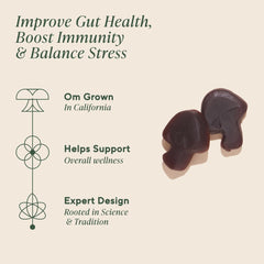 OM Mushroom Superfood 3-pack display showing convenient daily wellness routine.