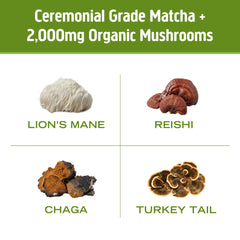 OM MUSHROOM SUPERFOOD latte in mug ready to enjoy a convenient daily ritual
