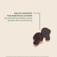 USA-grown lion’s mane mushrooms used in OM Mushroom gummies