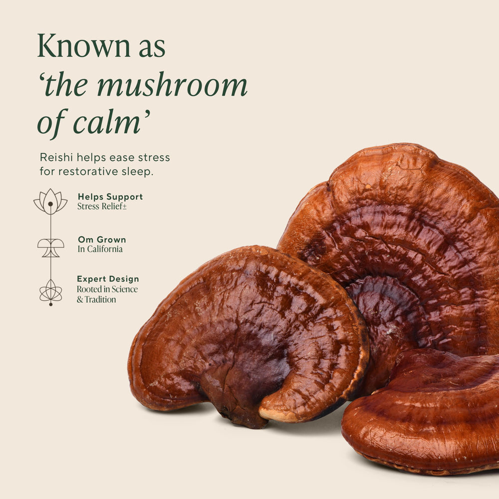 OM Mushroom Superfood Sleep Capsules pour scene conveys easy nightly routine.