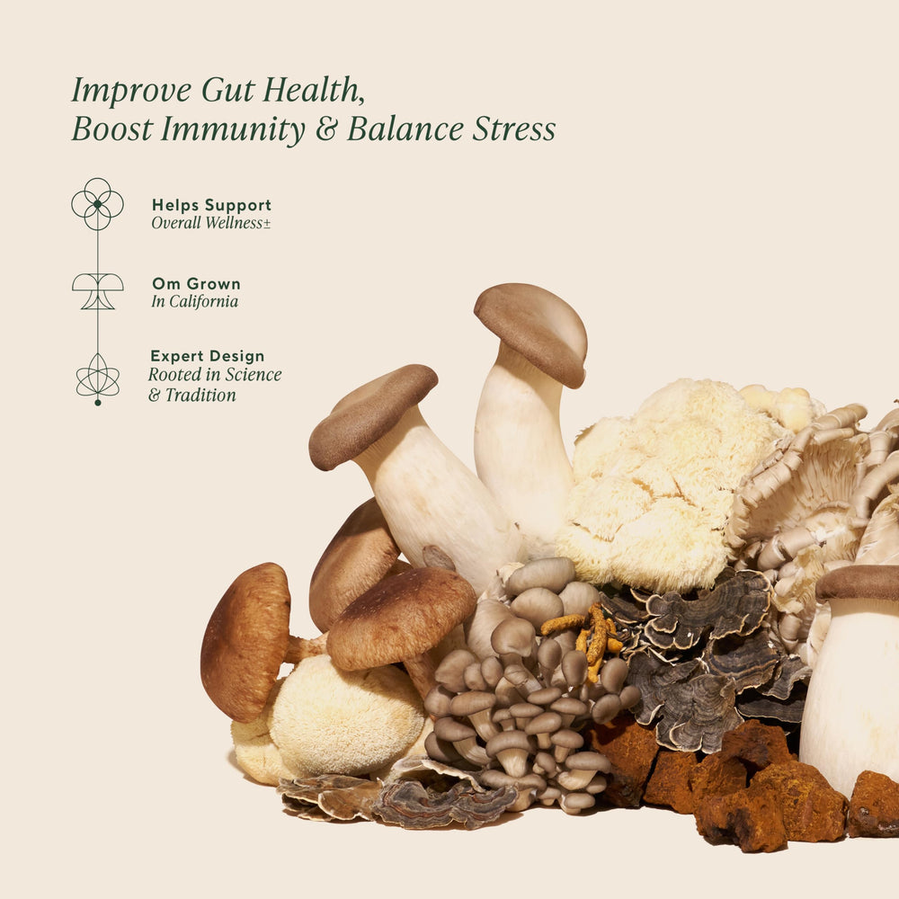 OM Mushrooms Master Blend ingredients chart featuring ten mushroom varieties