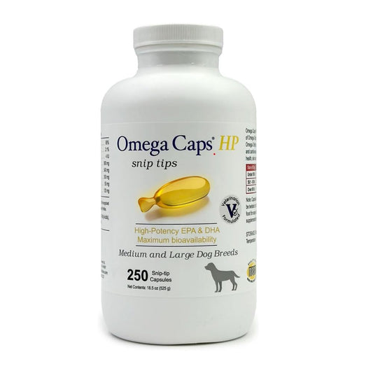 Omega Caps HP bottle front view for dogs, supporting skin and coat health.