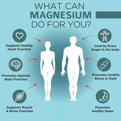 OmniBiotics magnesium glycinate bottle back label with ingredients