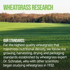 On Target Living Wheatgrass Tablets serving with water, simple daily greens ritual.