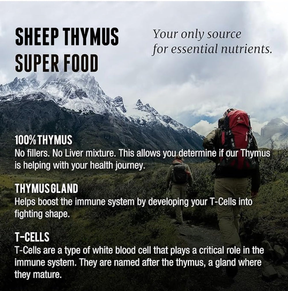 One Earth Health Thymus gland anatomy image highlighting thymus focus for immune-related research.