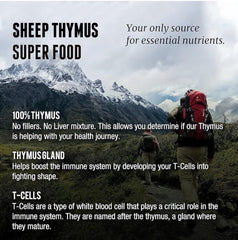 One Earth Health Thymus gland anatomy image highlighting thymus focus for immune-related research.