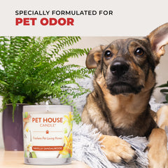 One Fur All clean-burning candle with natural wick for worry-free use.