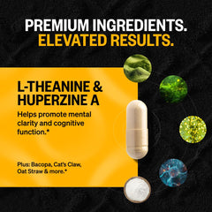 ONNIT Alpha Brain earth-grown ingredients graphic featuring bacopa and peers