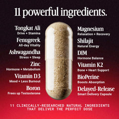 OPEN Essentials KSM-66 Ashwagandha capsules for focus and stress resilience.
