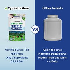 Opportuniteas Grass Fed Whey Vanilla pancake topping adds protein