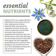 Optimal Health Systems borage oil source displays GLA-rich formula for balance.