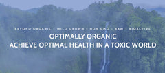 Front label of Optimally Organic Red Pine Needle Oil showing 1290 drops per bottle