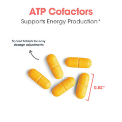 Optimox ATP Cofactors label detail emphasizing B2 and B3 strength.