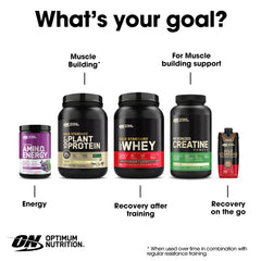 Optimum Nutrition Amino Energy tub on shelf for daily energy support.