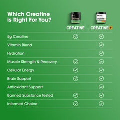 Optimum Nutrition Creatine Monohydrate packaging closeup emphasizes quality control and safety