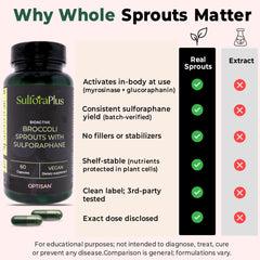 Optisan SulforaPlus lab test certificate validating purity and potency.