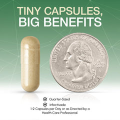 Oramune capsule collection illustrating an easy daily supplement routine.