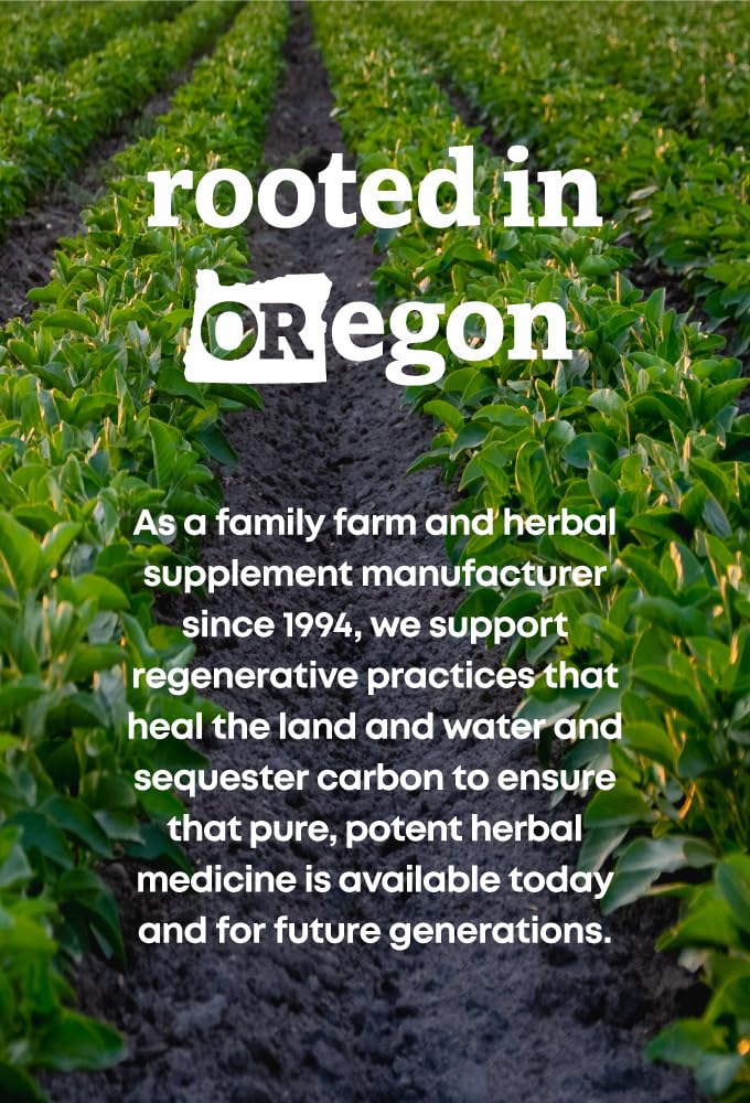 Ingredient list focus shows clean, non-GMO nettle supplement