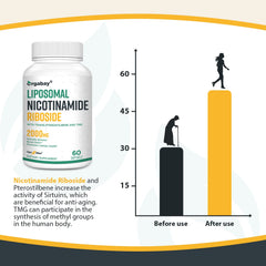Orgabay bottle on wooden table conveying premium aging support supplement.