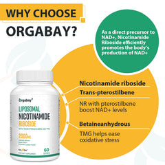 Orgabay bottle with sunset background conveying easy daily routine integration.