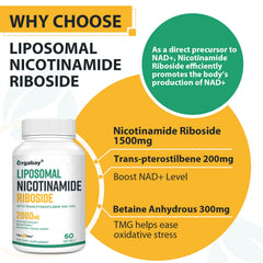 Orgabay pterostilbene and TMG graphic illustrating supporting ingredients.