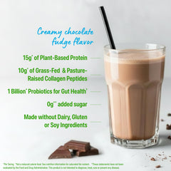 Orgain label close-up highlighting gluten-free and dairy-free ingredients